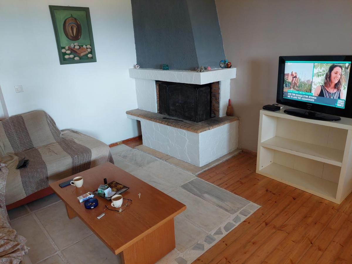 STONE HOUSE POLITIKA - Housity