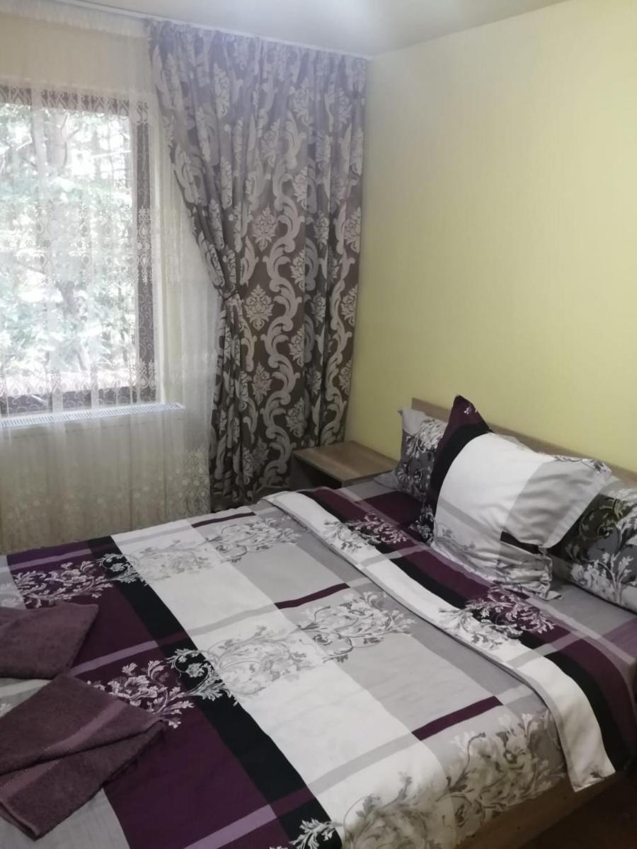 Căsuța din pădure de la Câmpu lui Neag - Housity