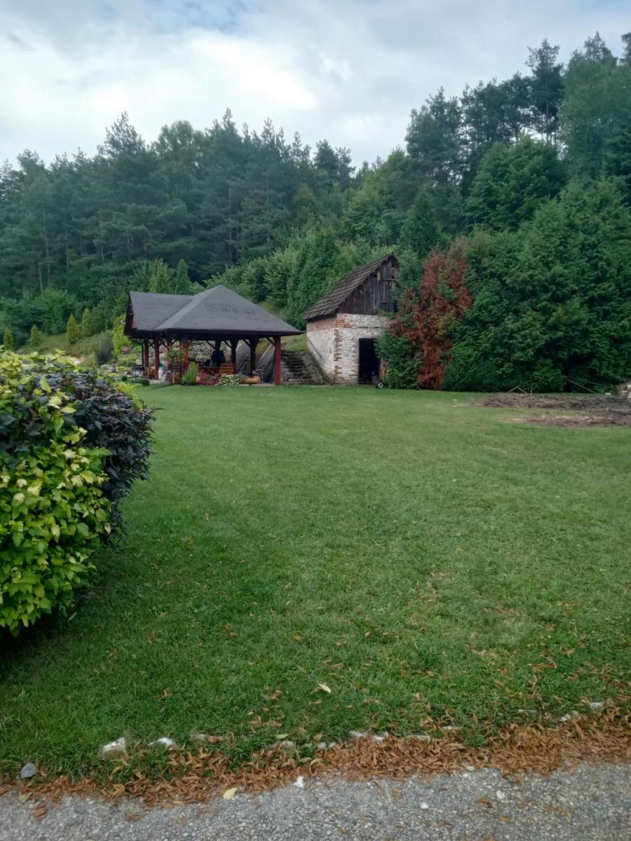 Agroturystyka Leśna Ostoja Borek - Housity