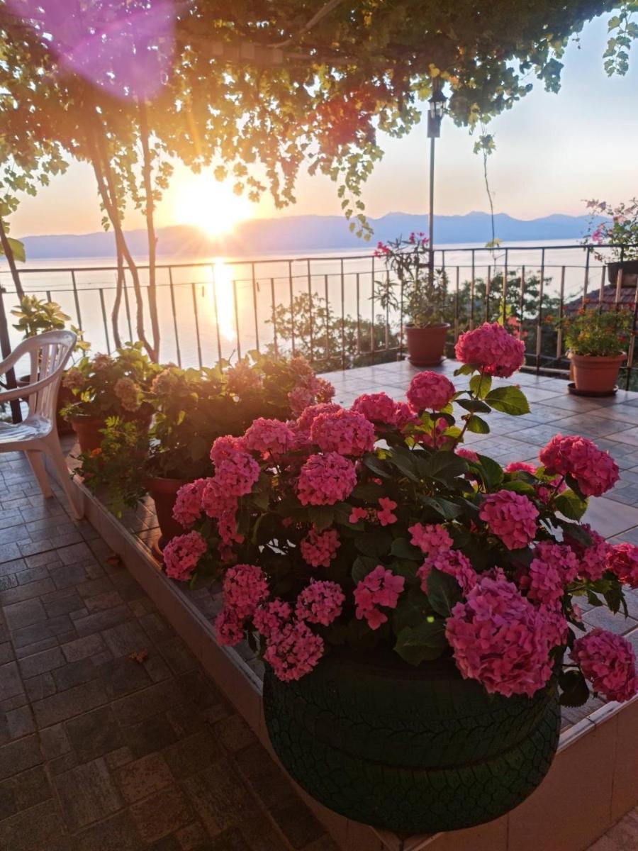 Sonce Guest House - Housity