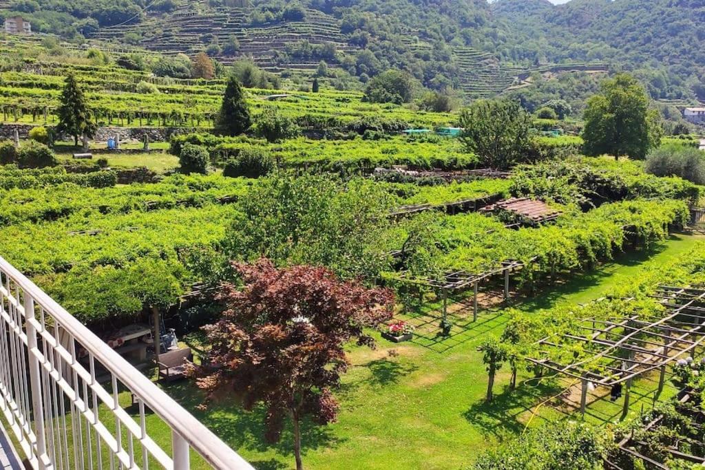 La casa dei nonni 3,0 - Housity