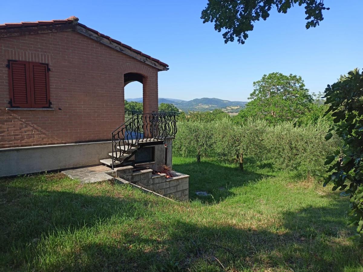 Tra gli Ulivi Umbri - Housity
