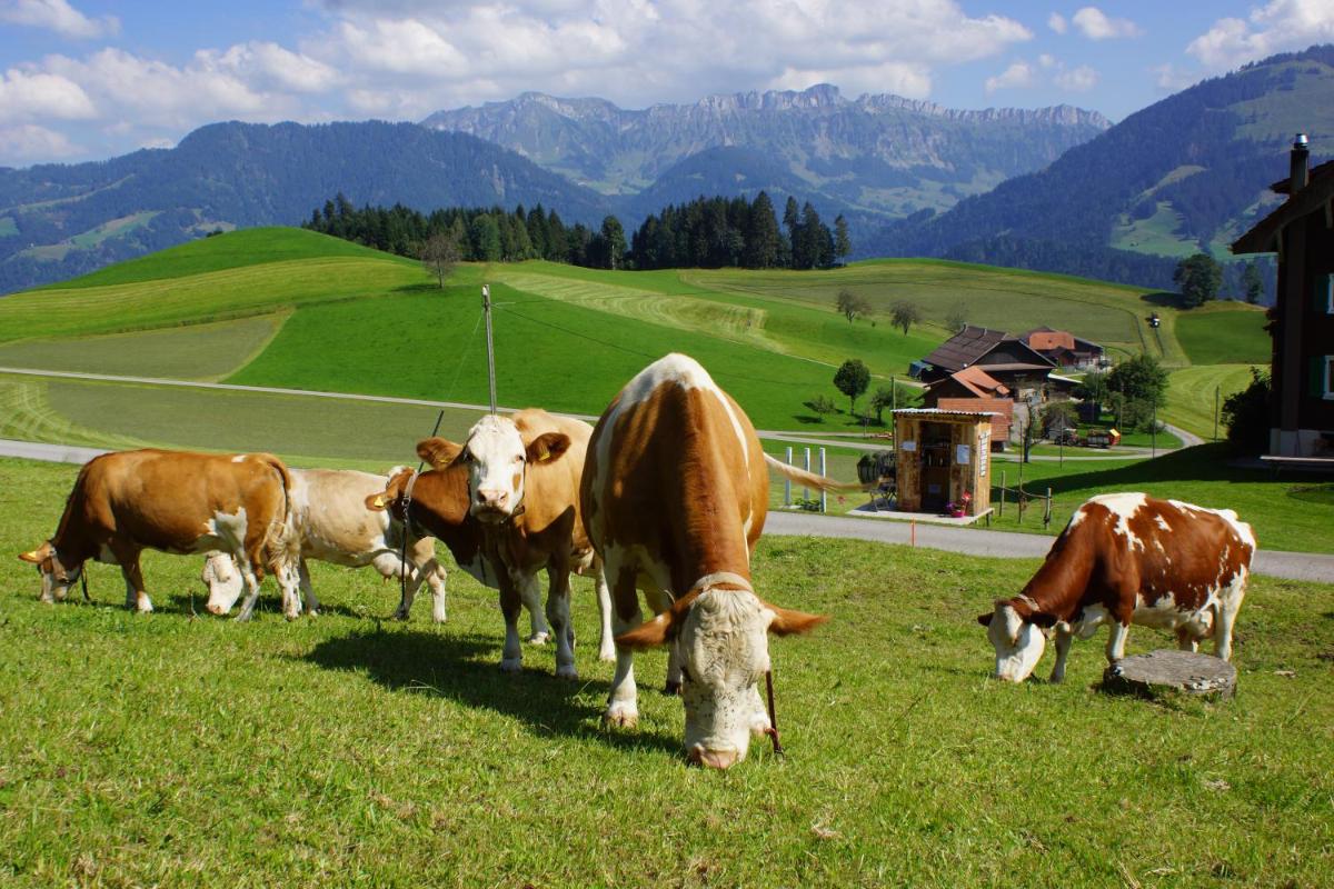 Auf Bauernhof: Studio mit traumhafter Aussicht - Housity