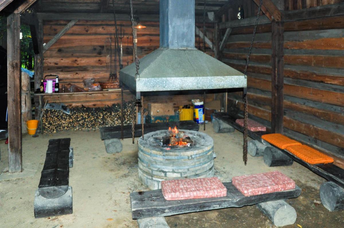 Privát - Harrachov 392 - Housity