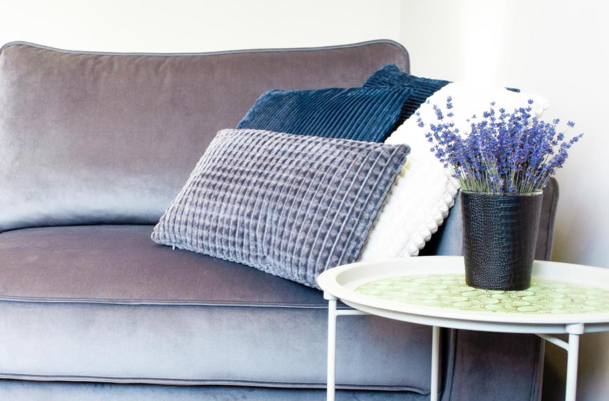 Studijos tipo apartamentai Tauragėje - Housity