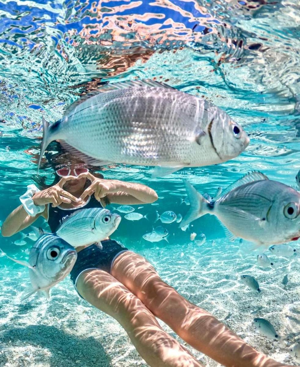 Casa SERENAS, a 5 minuti dal mare con parcheggio, clima e tutto il necessario per la tua vacanza in relax - Housity