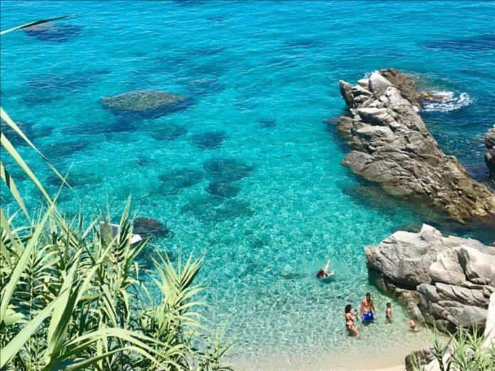Appartamento Orchidea - Housity