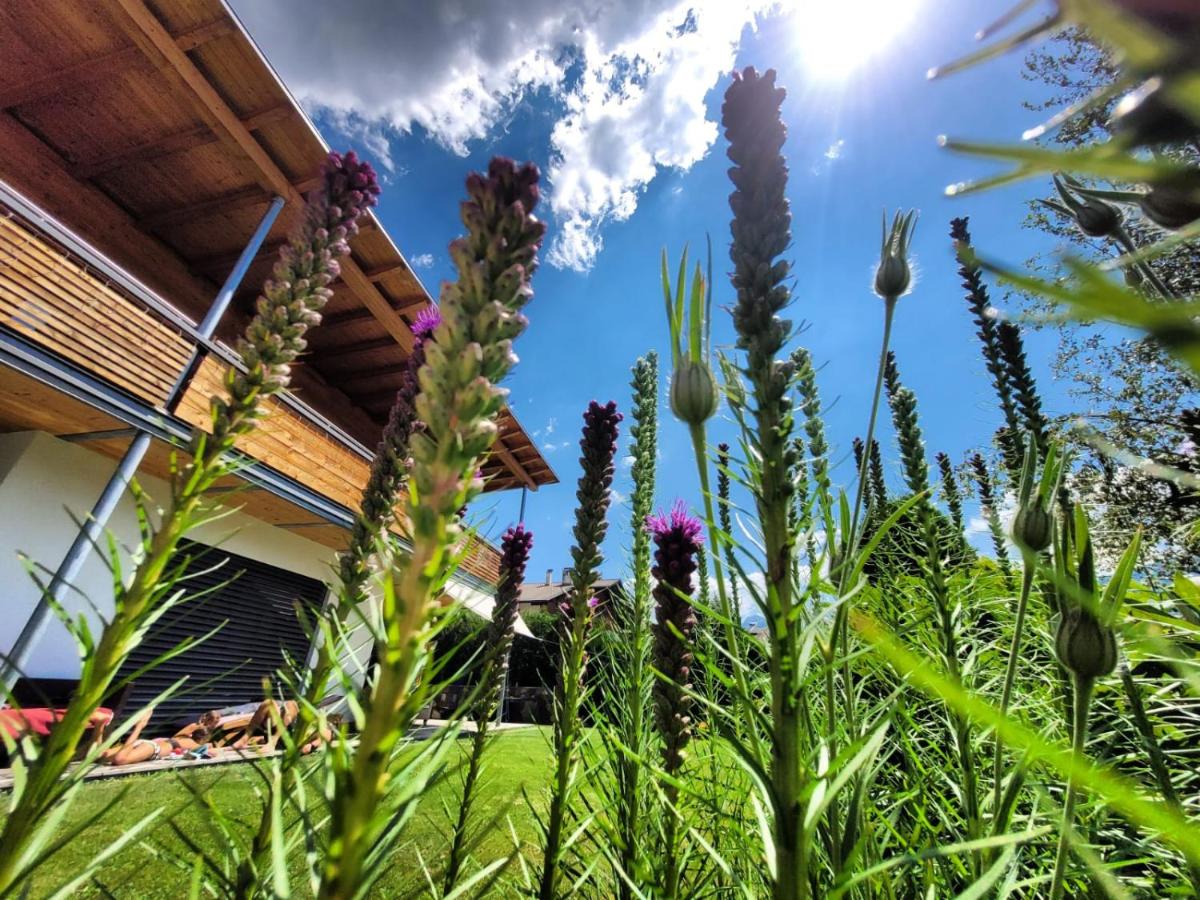 Casa de Fiemme - Housity