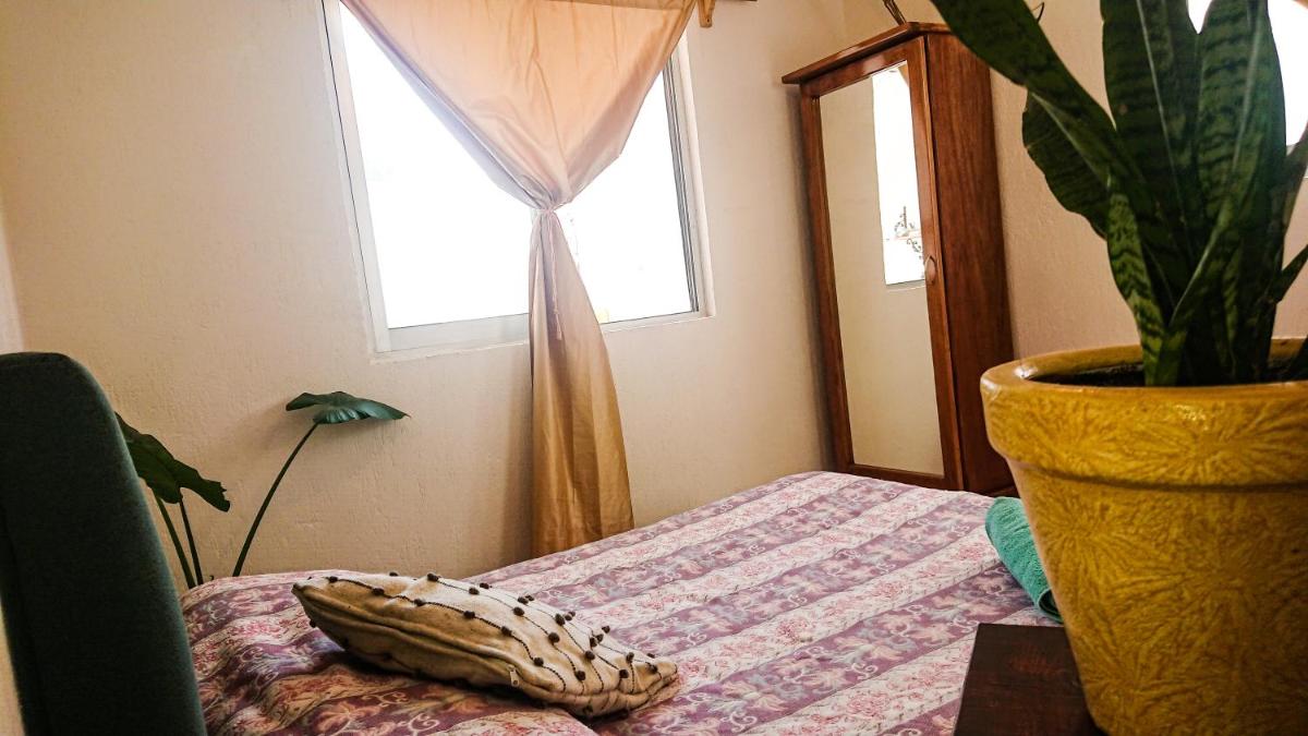 La Hojita House - Housity