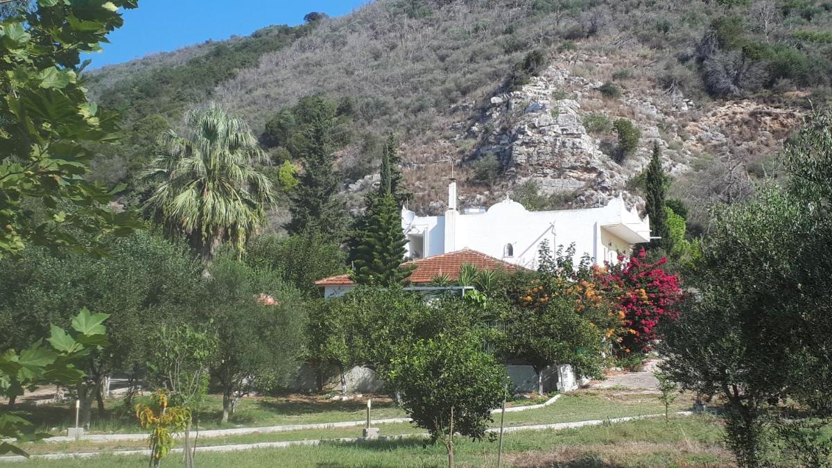 Villa Dunes 350m from the sandy beach - Housity