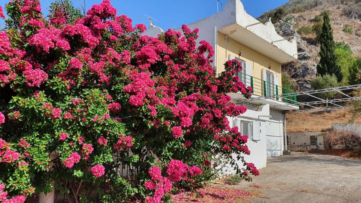 Villa Dunes 350m from the sandy beach - Housity
