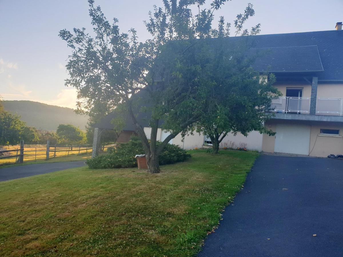 Maison chaleureuse a Saint Remy avec jardin enchanteur - Housity