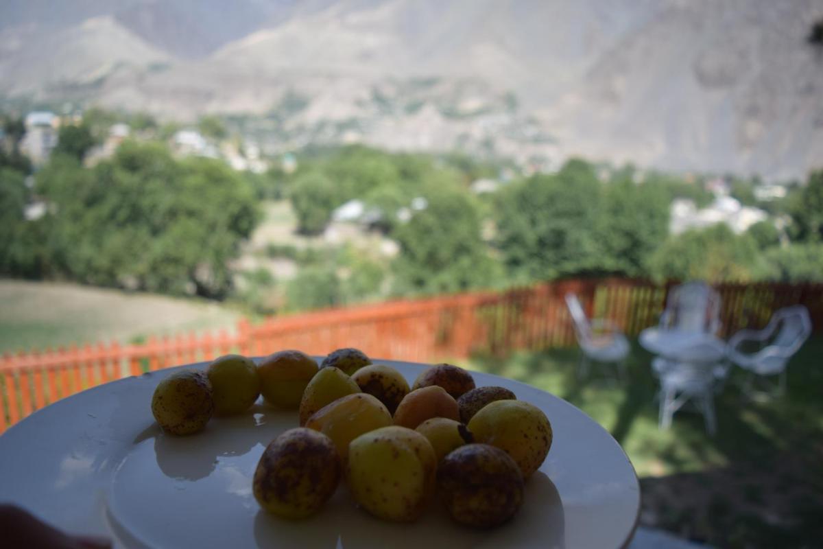 Chitral Green Guest House - Housity