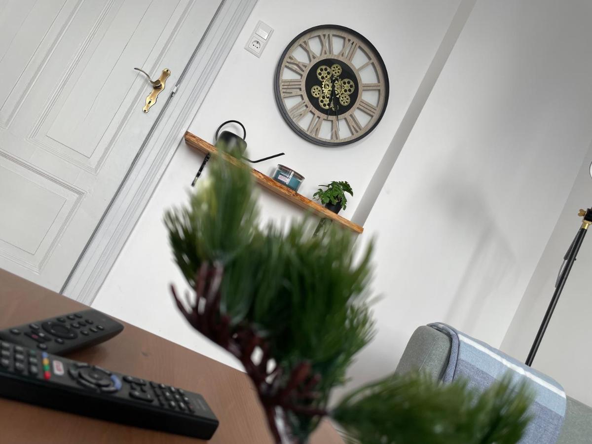 Luxury Designer Apartment - Housity