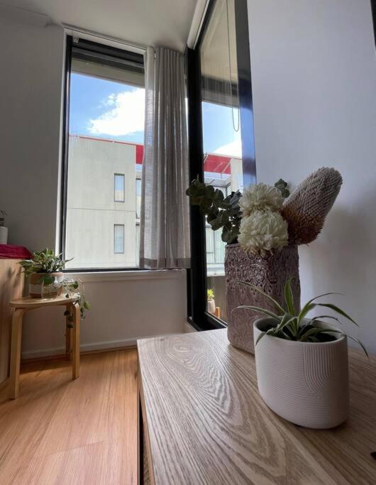 Joyce’s Nest @ Dorcas South Melbourne - Housity