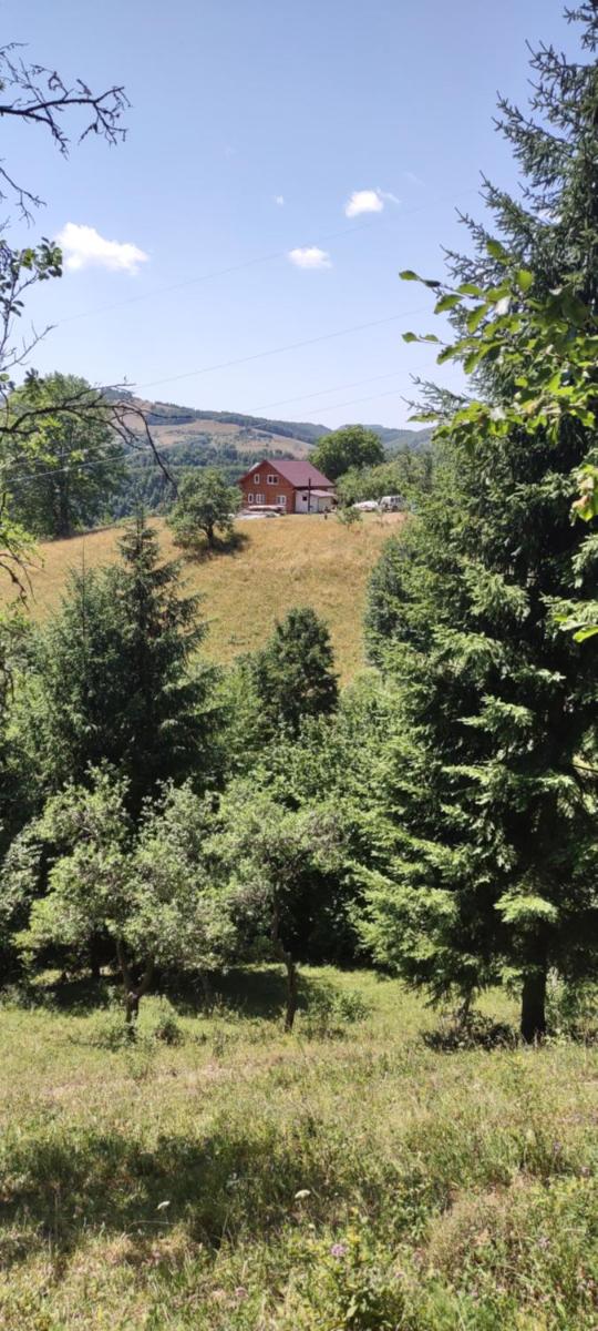 Cabana Cristalul din Apuseni - Housity