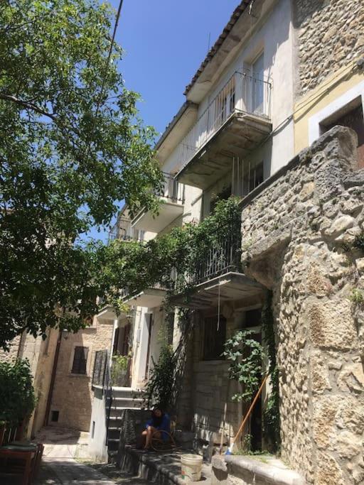 Natura,Arte & Vintage - Housity