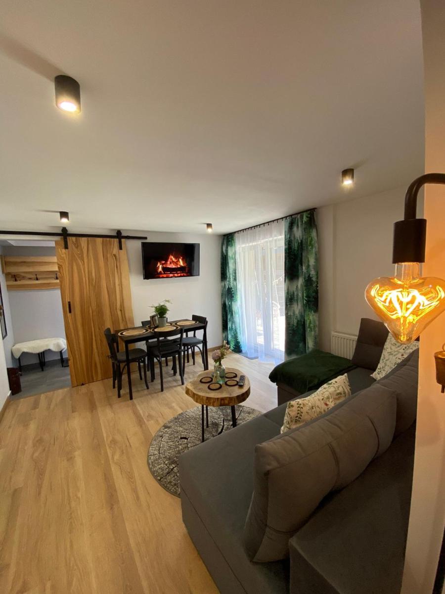 ROZETA SZCZYRK apartament przy Gondoli z sauną , jacuzzy, ogrodem i tarasem - dawniej U GAZDY - Housity