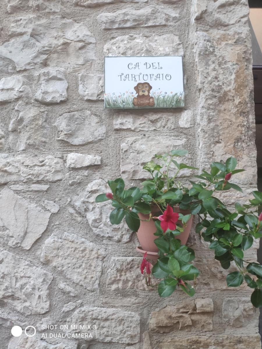 Ca' del tartufaio - Housity