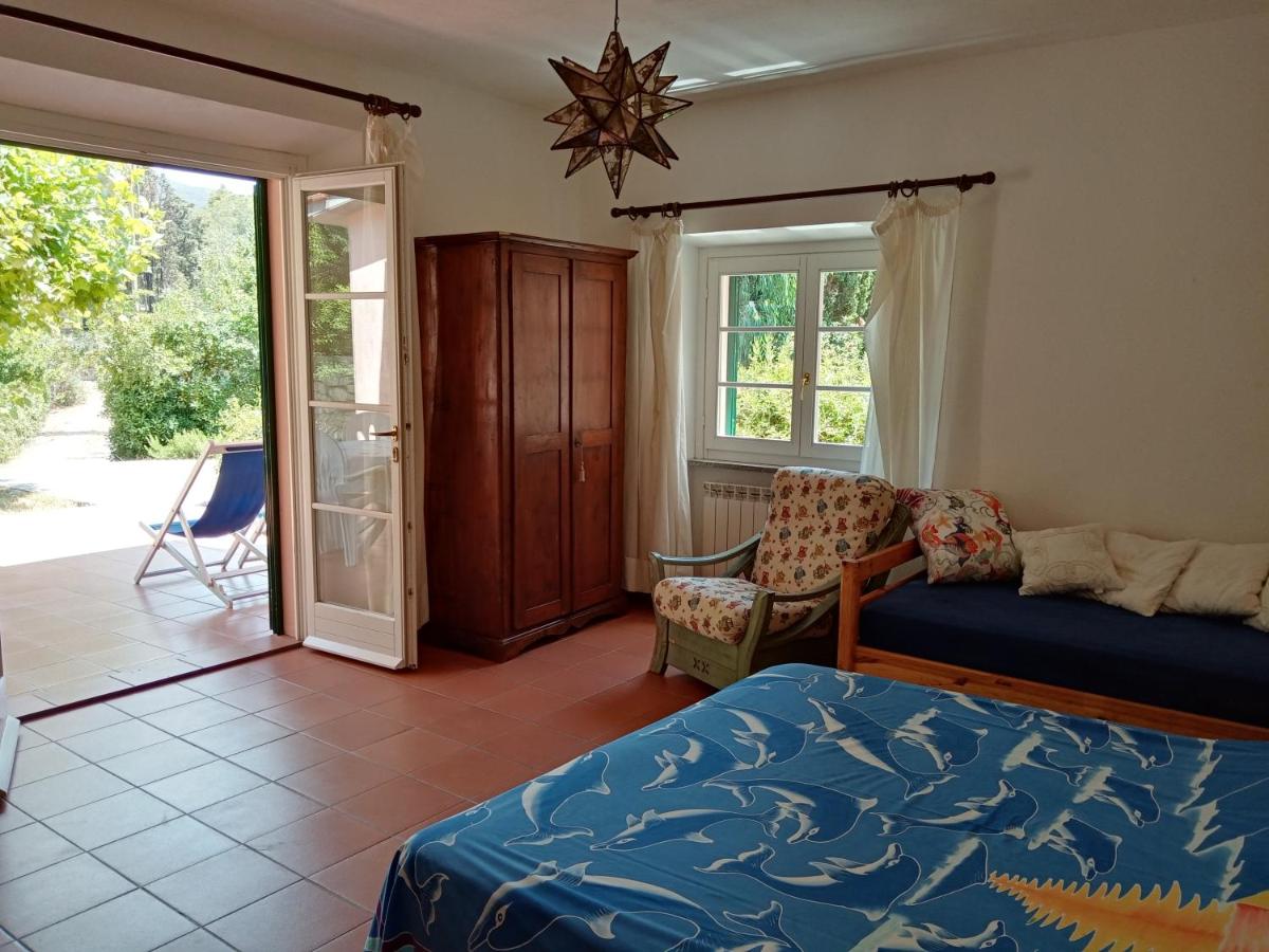 la raganella - appartamento - Housity