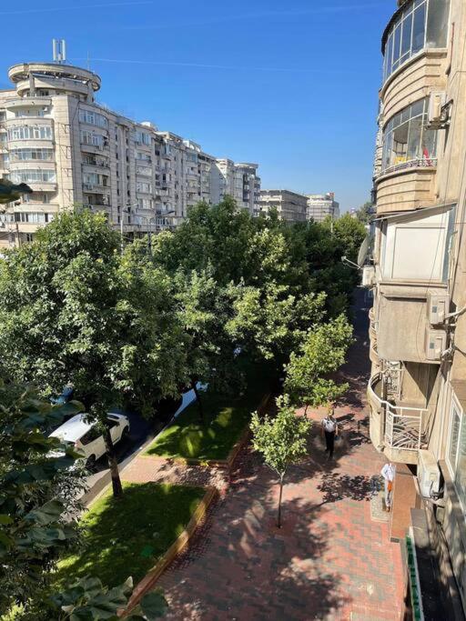 3 Rooms Apartament in the city center of Bucharest - Housity
