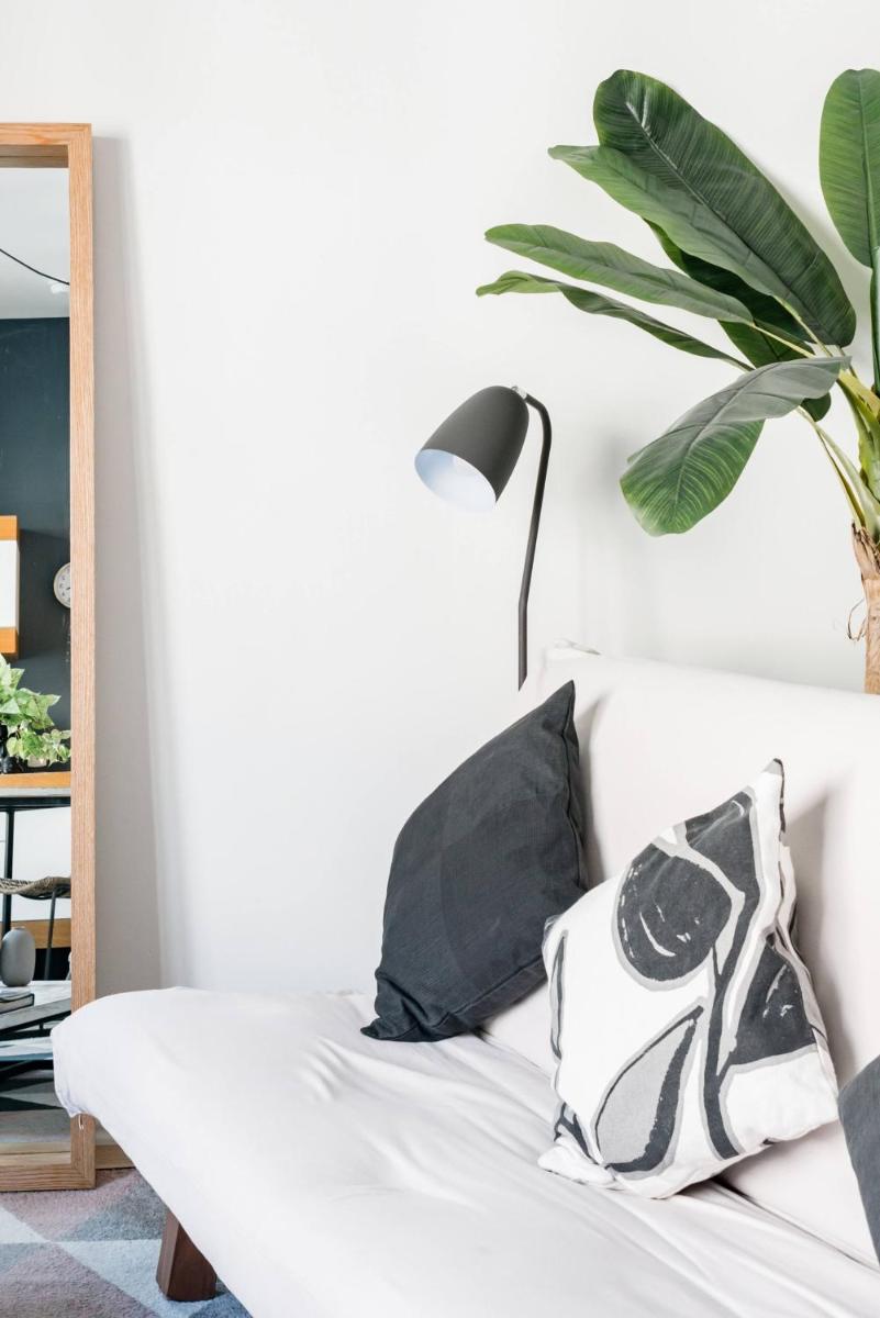 Edificio Remodelado. Frente al Munal. Centro Histórico - Housity