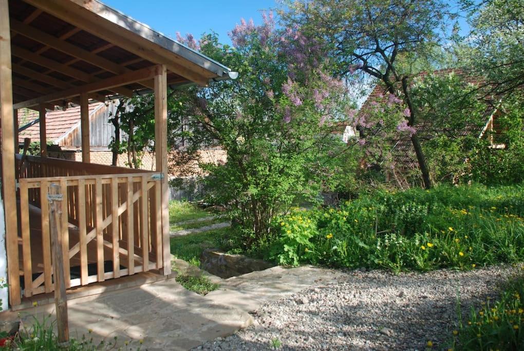 Birdsong Cottage - peaceful country retreat - Housity