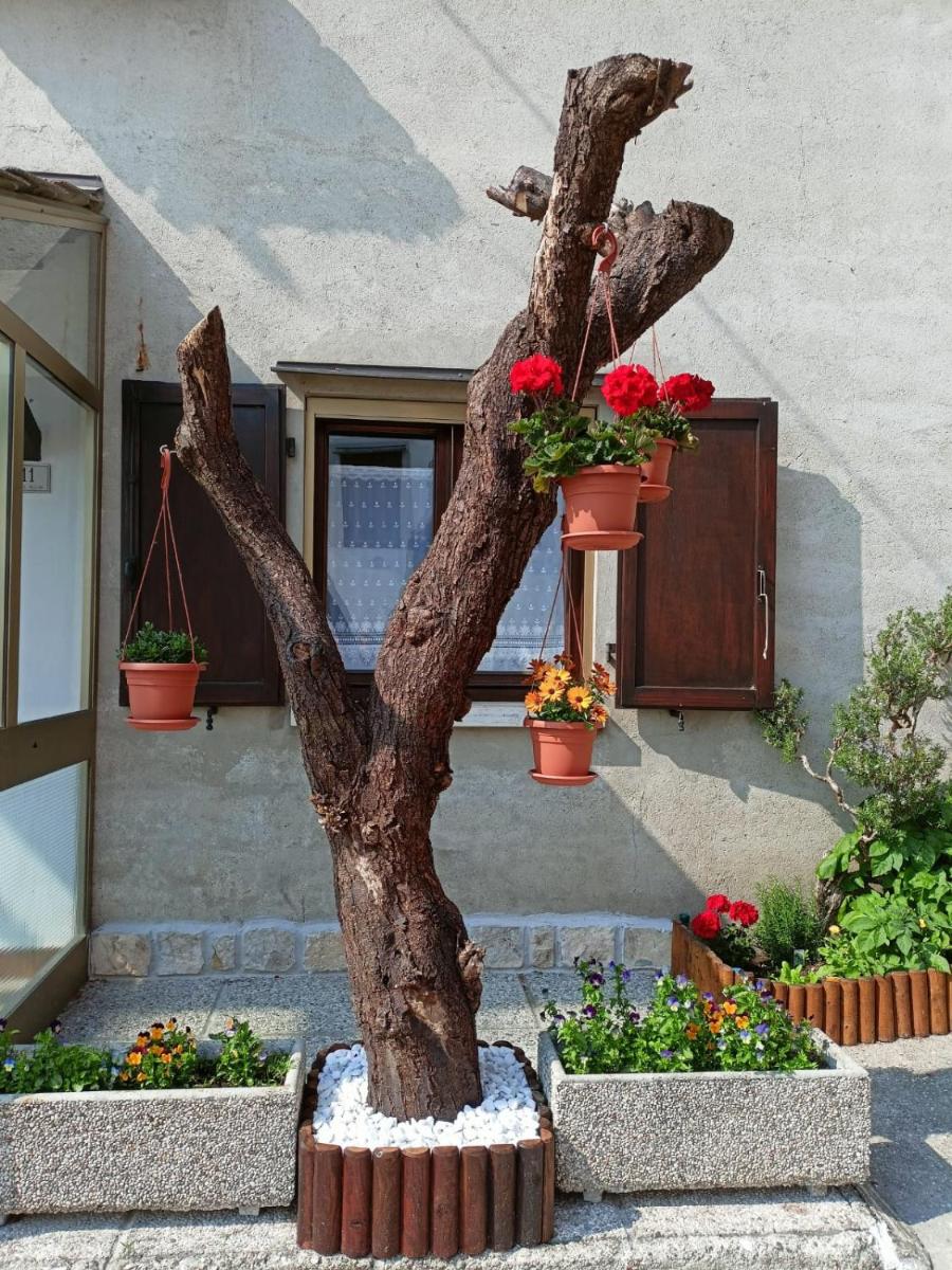 La casa di Beppe - Housity