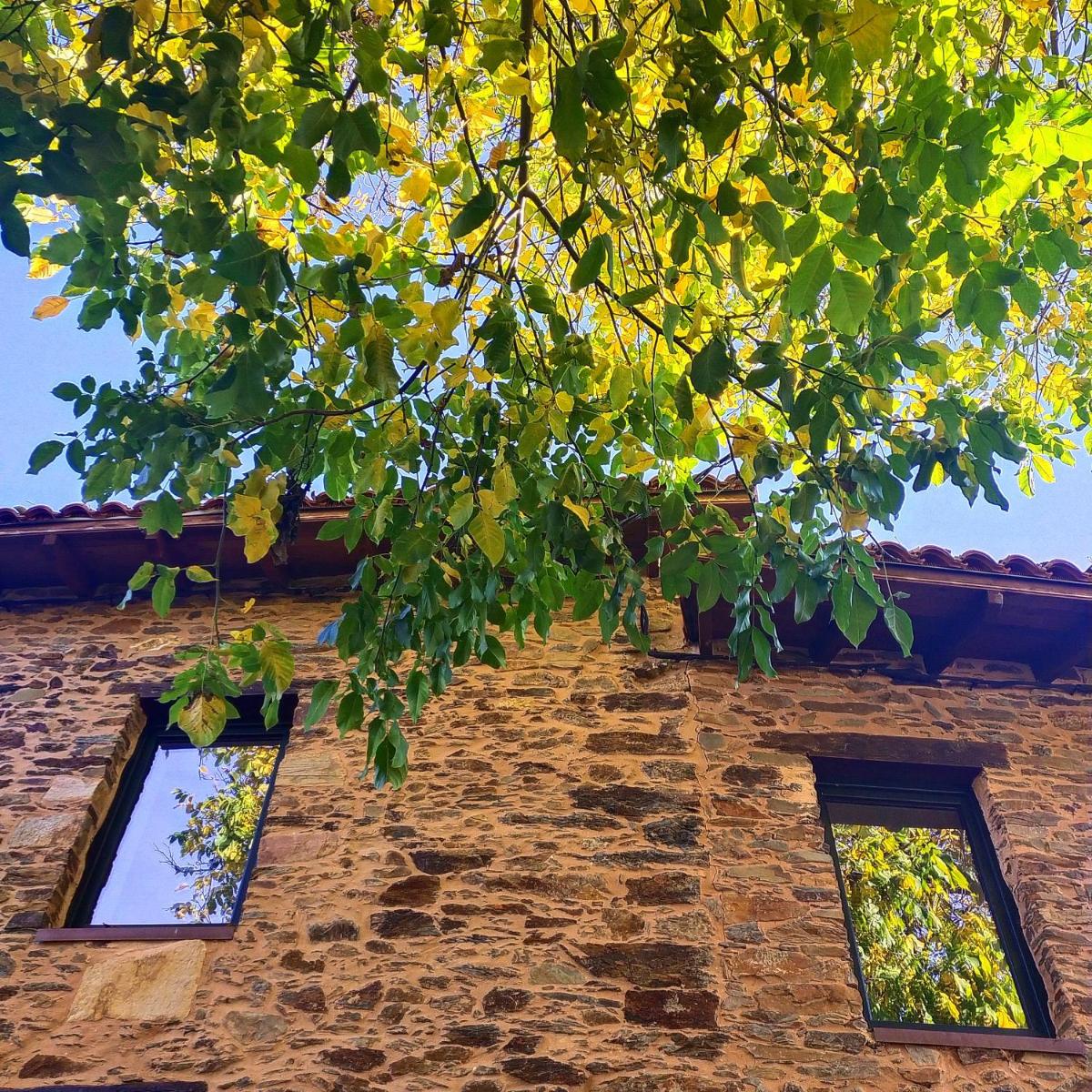 Hotel Rural Las Campares - Housity