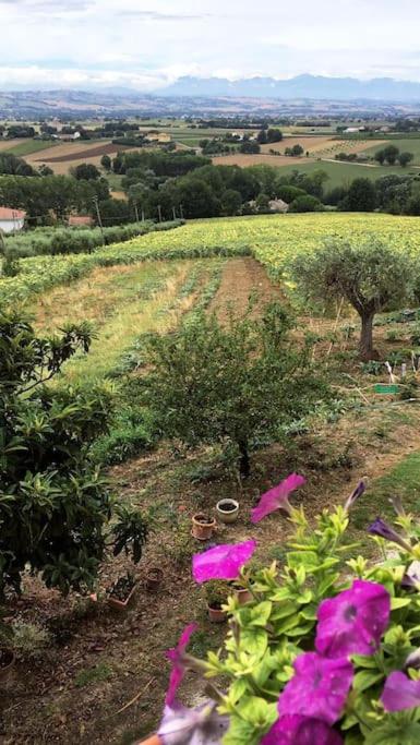 Suitetrails - Appartamento di Campagna