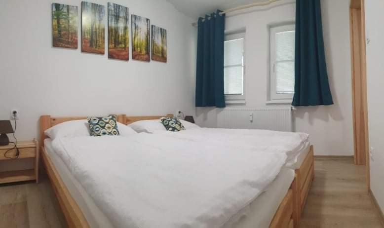 Apartmán Na zjazdovke, chata Borovica, Valča - Housity