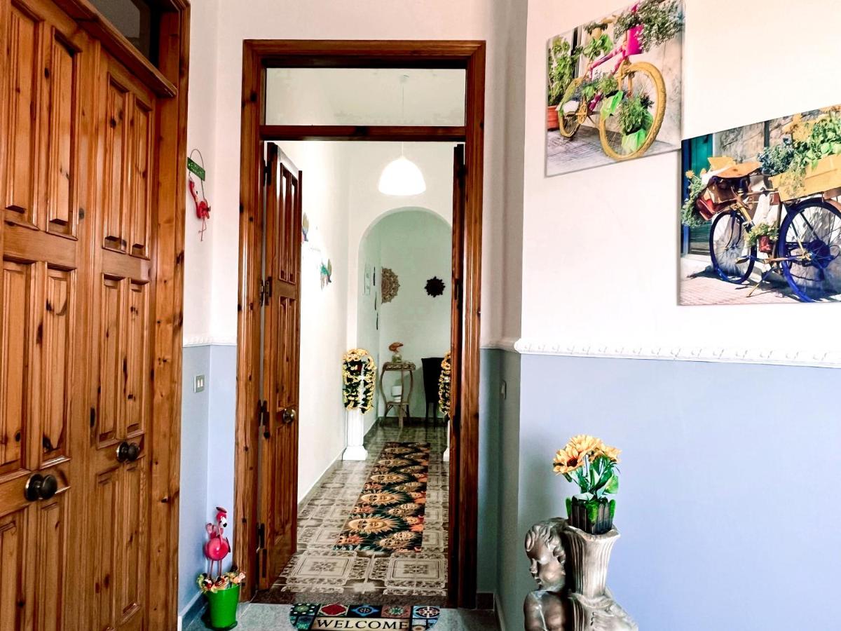 El Solero - Housity