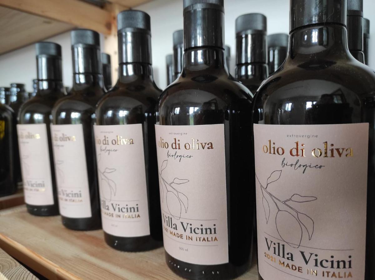 Glamping at an Agriturismo in the vineyard - Housity