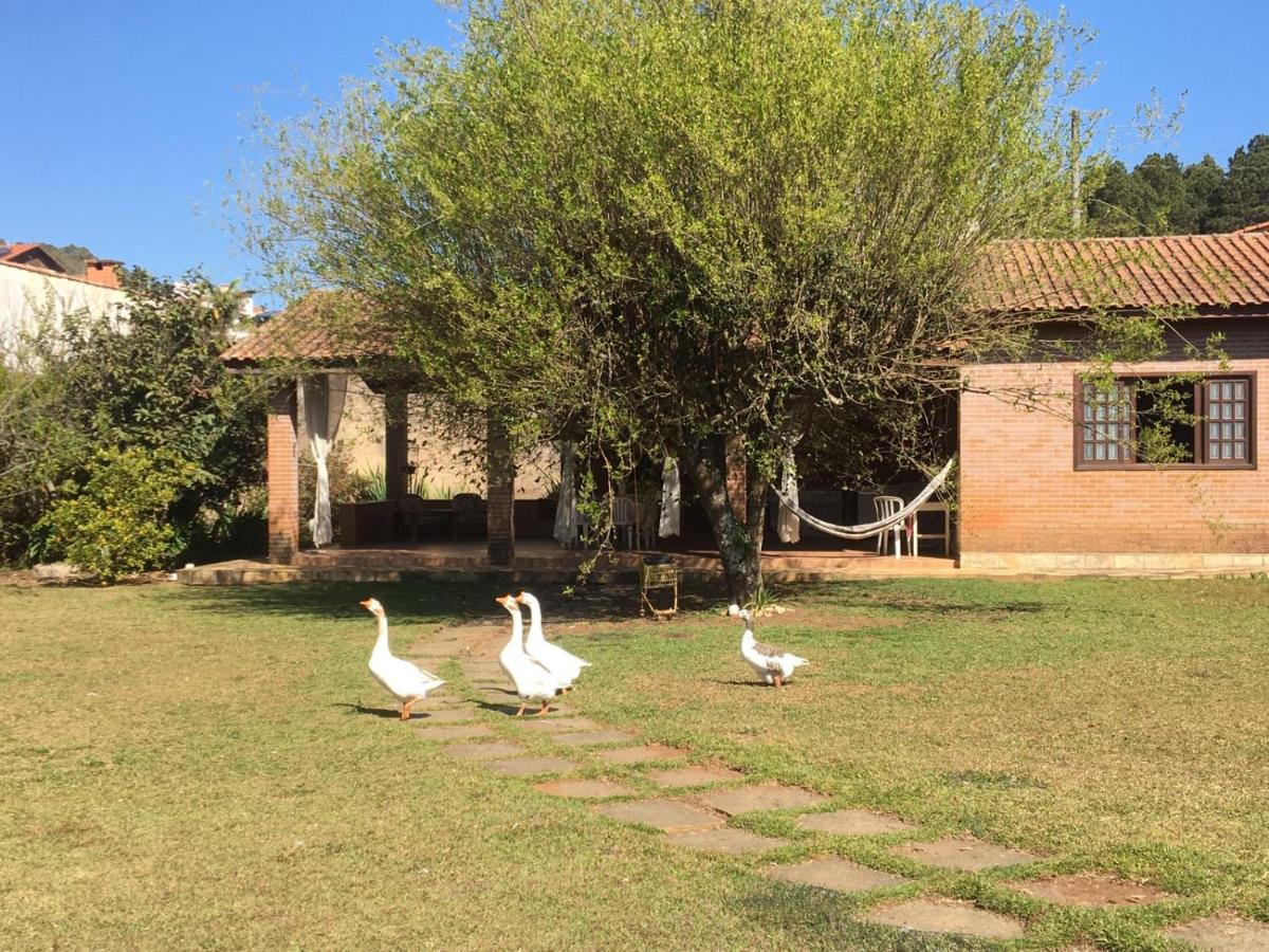 Chalé Aconchegante - Housity