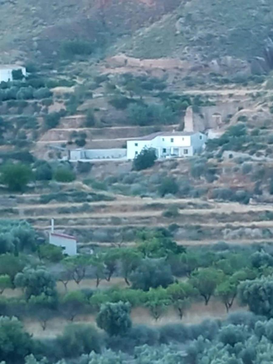 Molino Mio - Housity