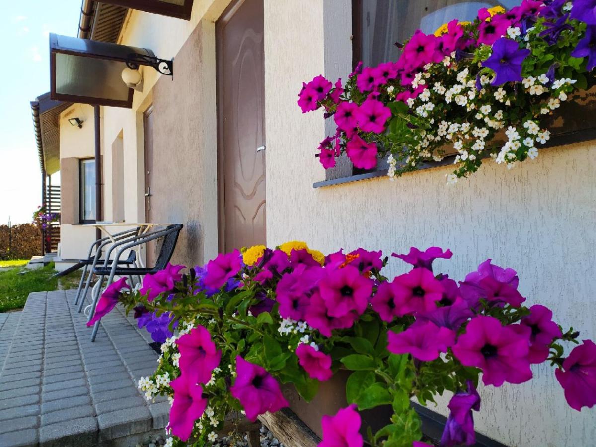 Motel Golden Fox - Housity