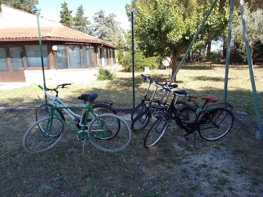 Suitetrails - Guest house Conte Quidello