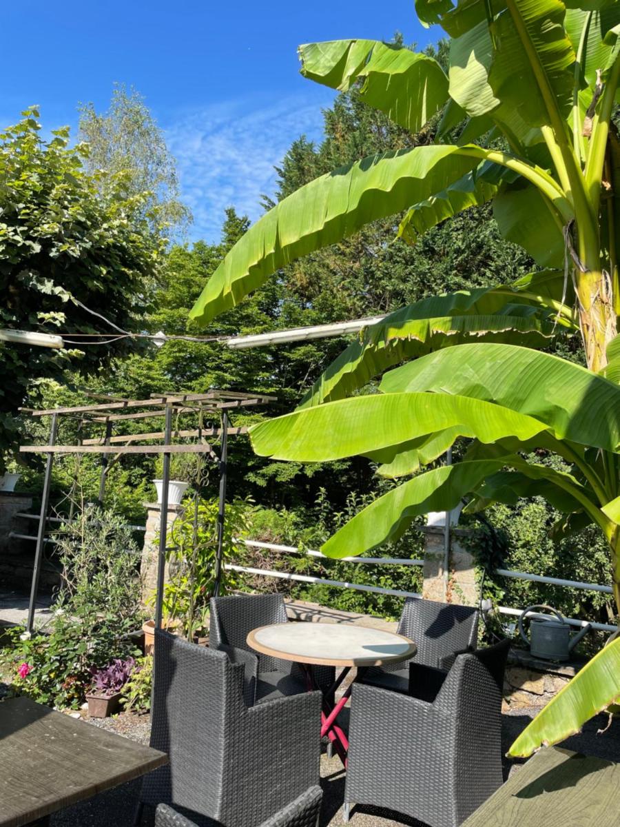 Jardin de l'établissement Logis Deshors-Foujanet