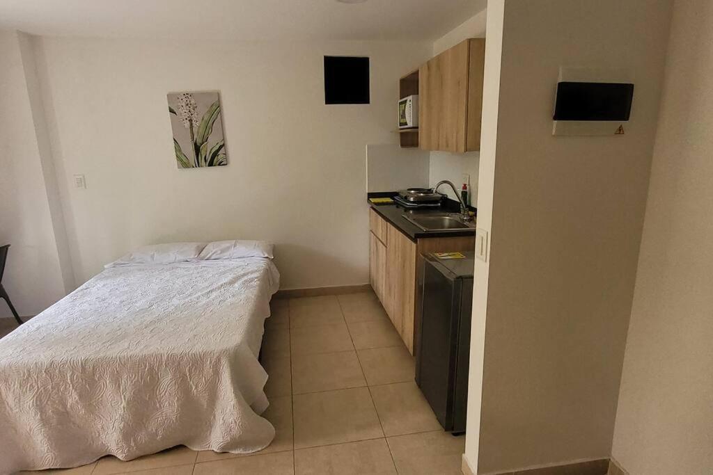 Suitetrails - Acogedor Bed and breakfast con terraza 501C