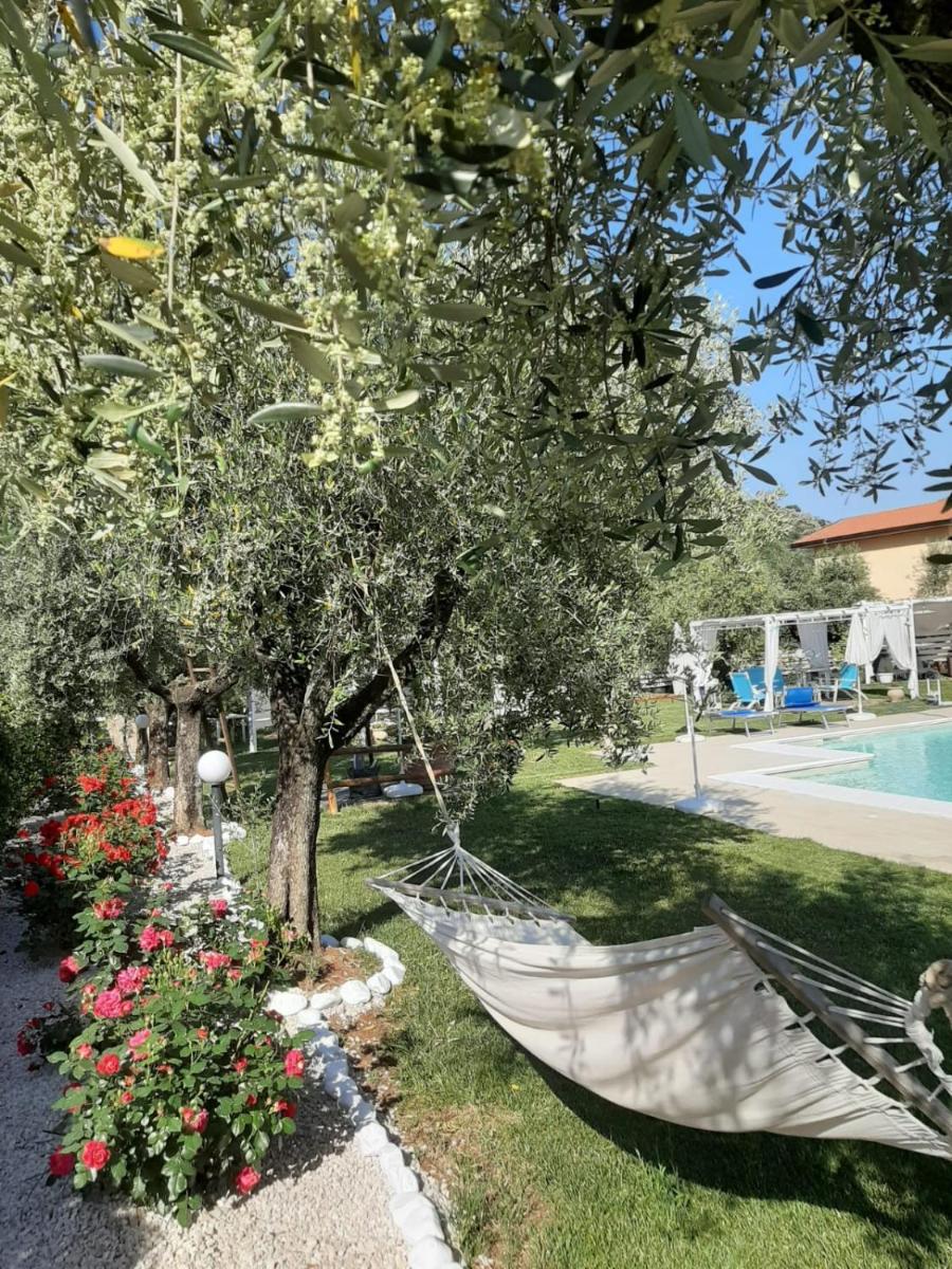 Alloggio Turistico L'Ulivo - Housity