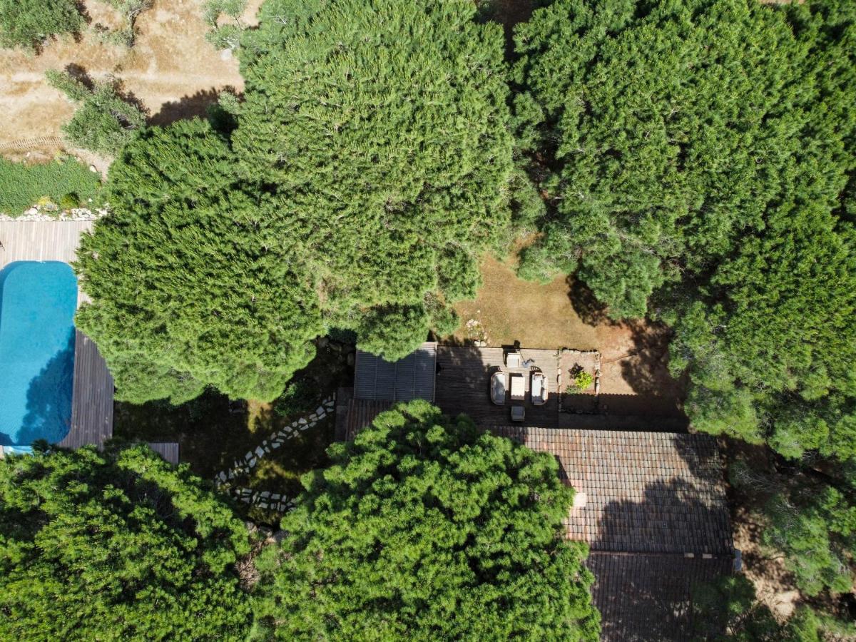Domaine d'Arena Casa Zinzala - Housity