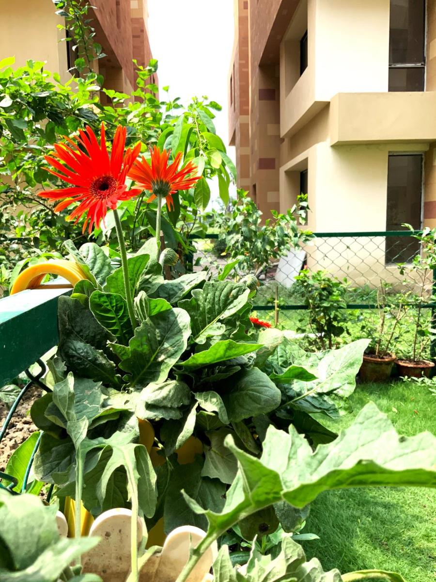 Entire 3 bedroom Duplex Villa with Garden at Vedic - Housity