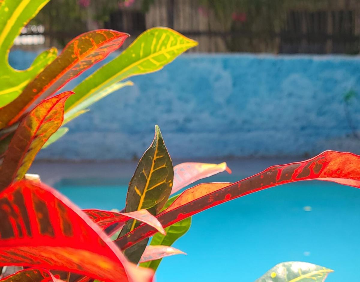 Jambiani Guest Lodge LITHAM - Housity
