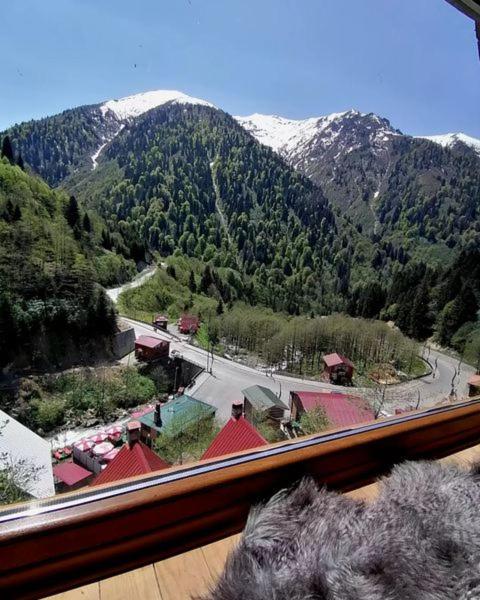 Ayder Eflin Dağ Evi - Housity