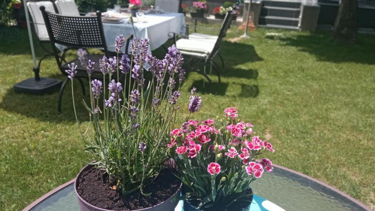 ART INN APARTMANHÁZ BALATON-GYENESDIÁS - Housity