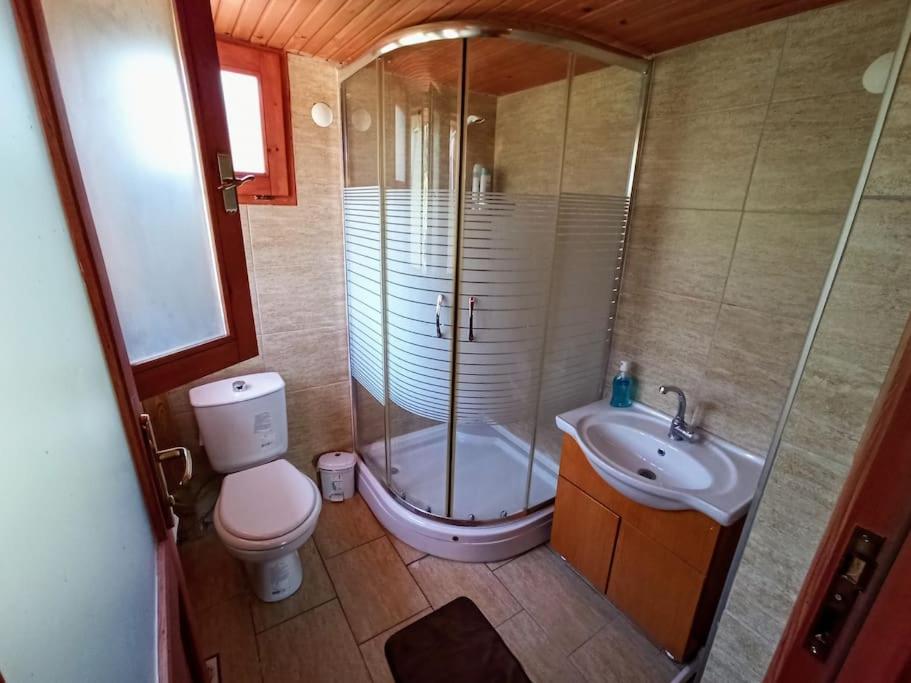 Petunya Orman Evi - Housity