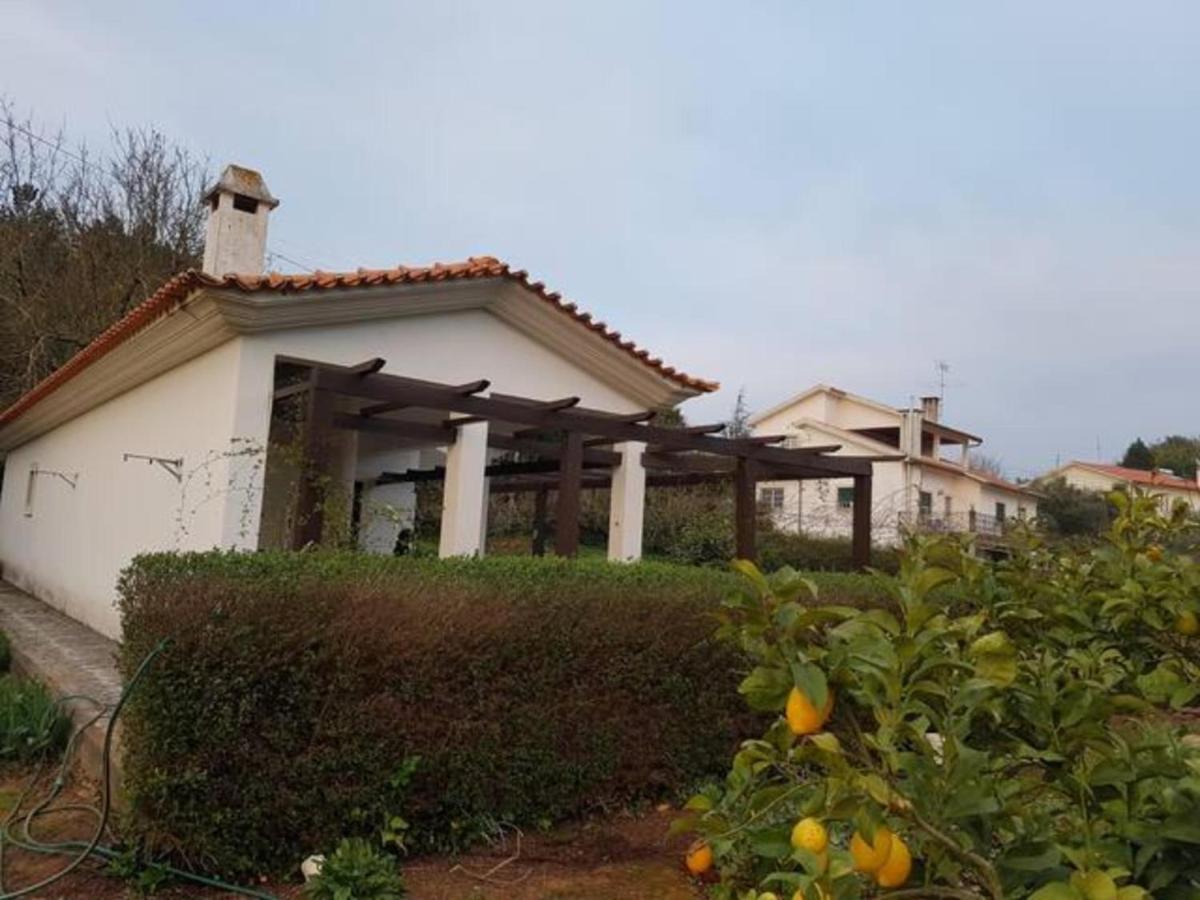 Assafarge-2Bedroom-1Bathroom-Garden - Housity