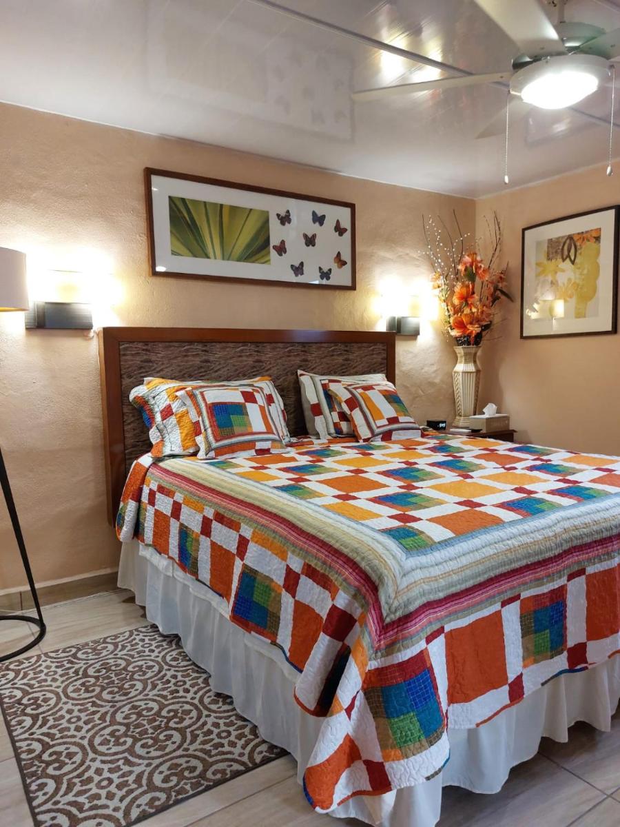 Olive's Apartment - Housity