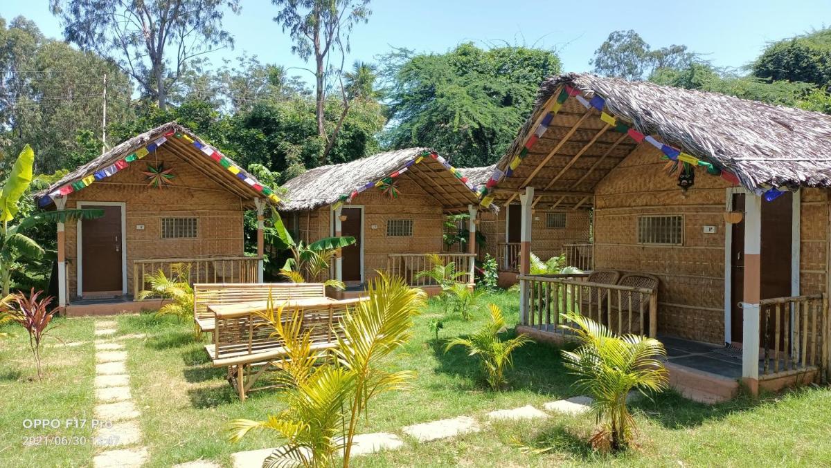 Island Vibes - Housity