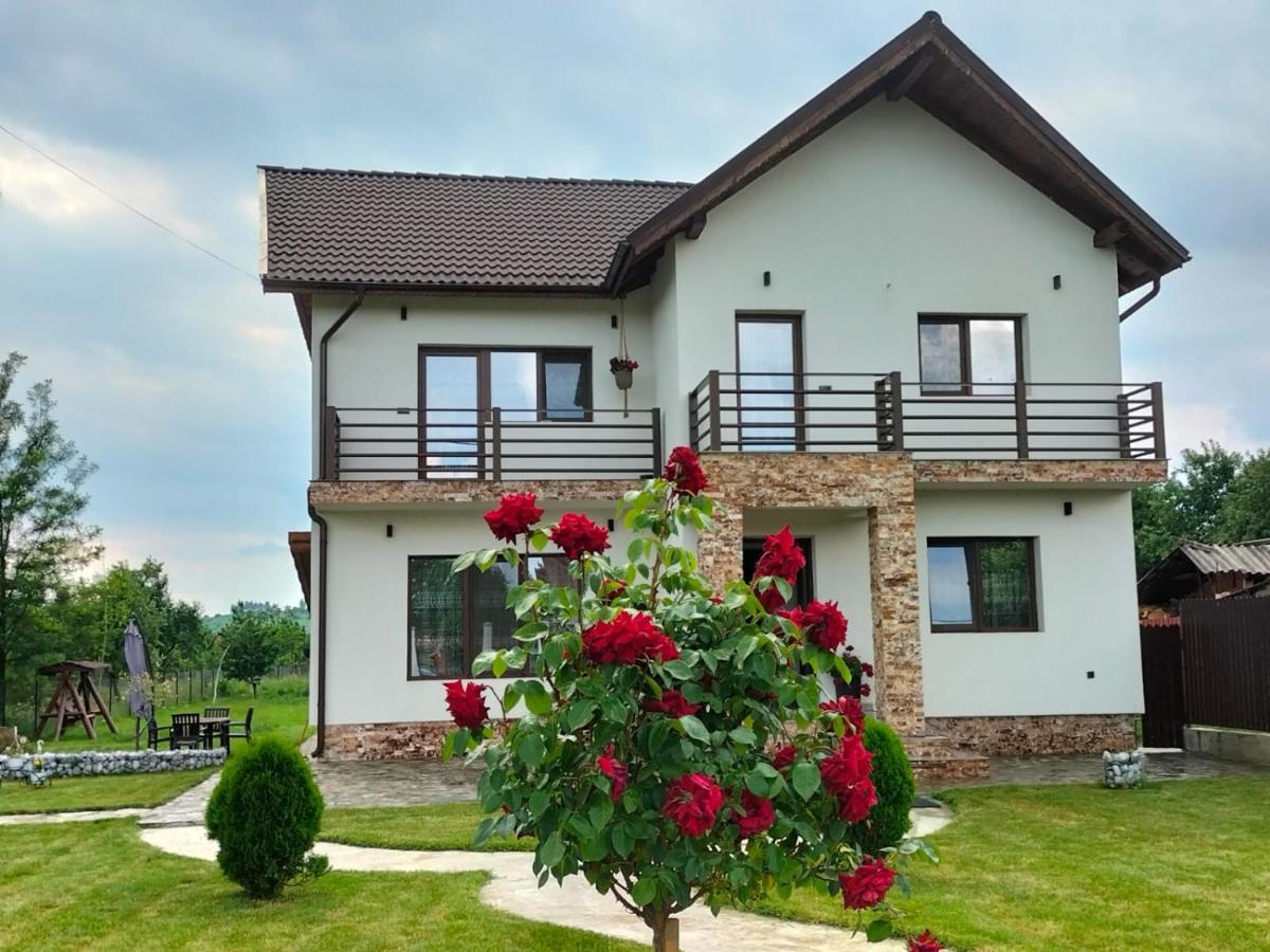 Pensiunea Casa Nușa - Housity